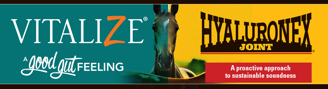 Equine