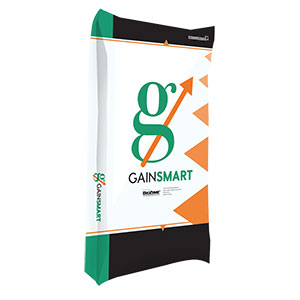 Gian Smart