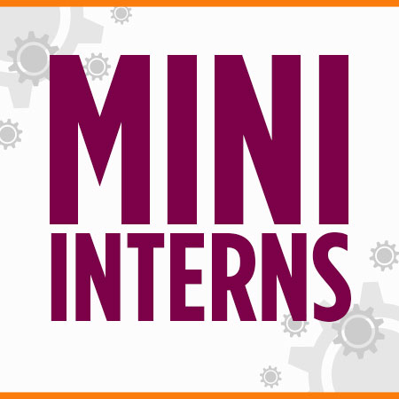 Mini Interns