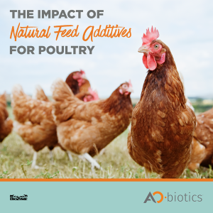 Natural Feed Additives for Poultry
