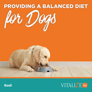 Balanced Diet for Dogs