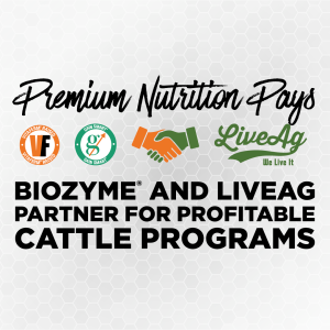 premium nutrition
